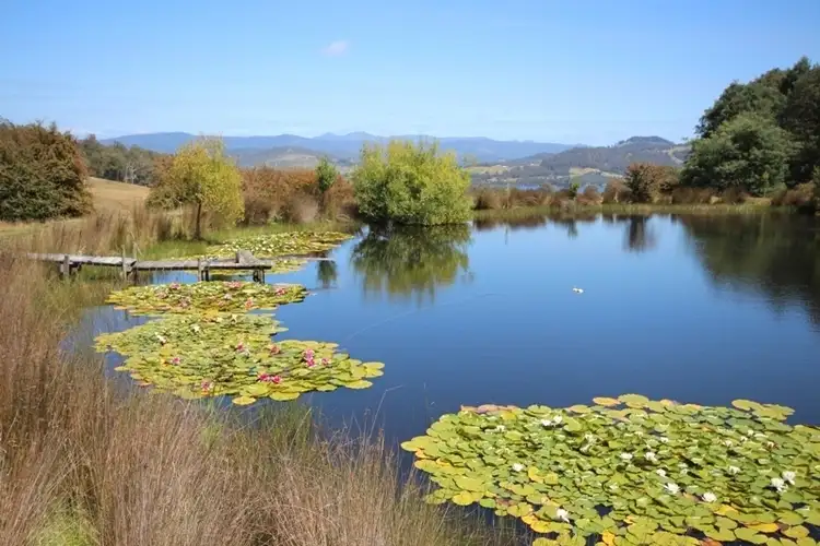 Fourth view of Homely house listing, 156 Dillons Hill Road, Glaziers Bay TAS 7109