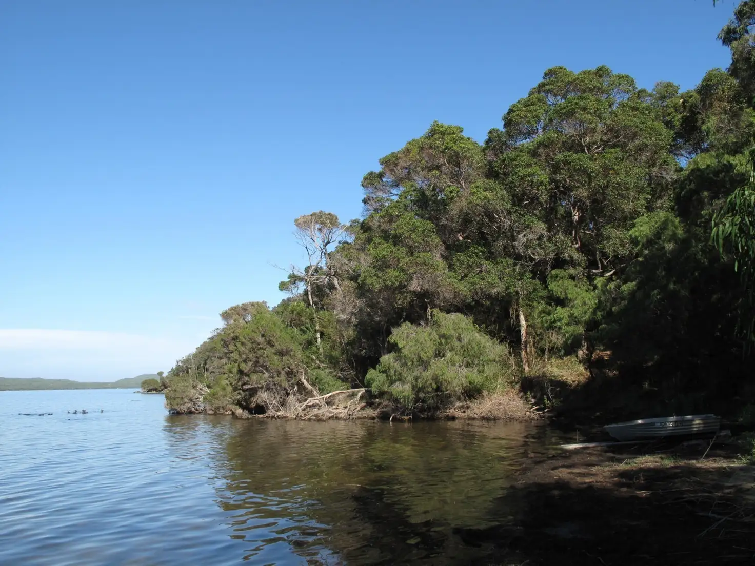 Main view of Homely land listing, 7 Lunan Road, Denmark WA 6333