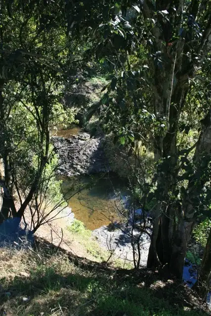 Sixth view of Homely land listing, 326 Bice Road, Leycester NSW 2480