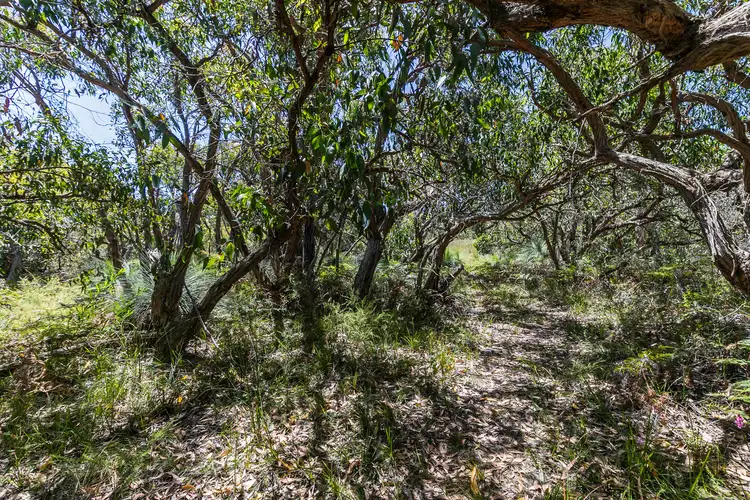 Second view of Homely land listing, 49 Boyd Avenue, Moggs Creek VIC 3231