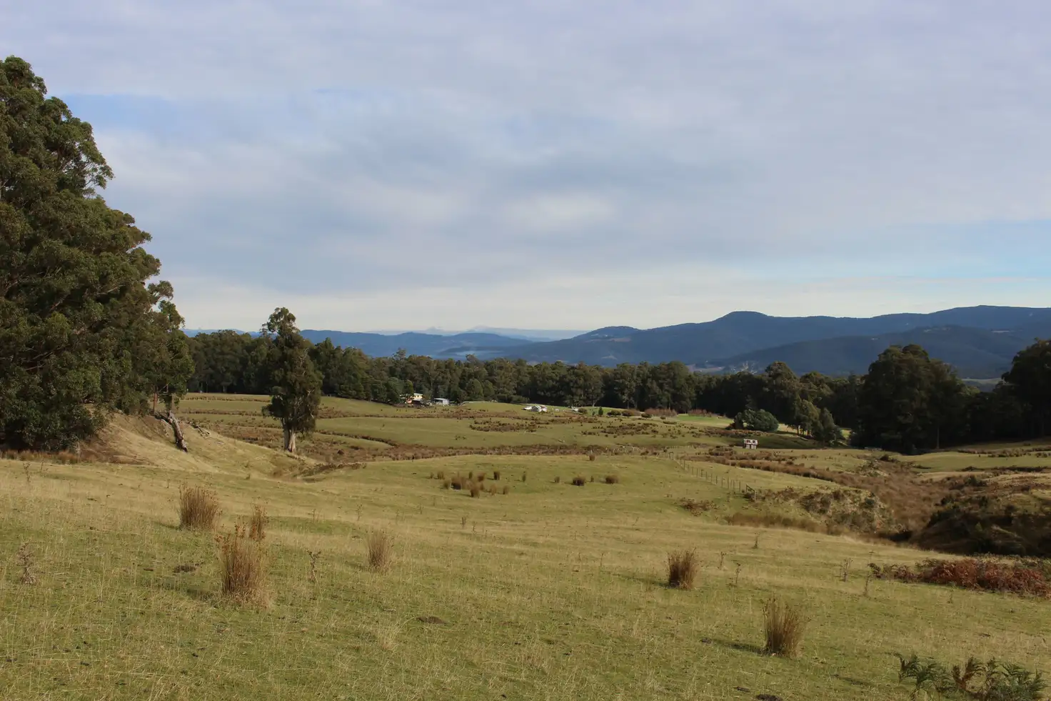 Main view of Homely land listing, Lot 2 Gums Road, Mountain River TAS 7109