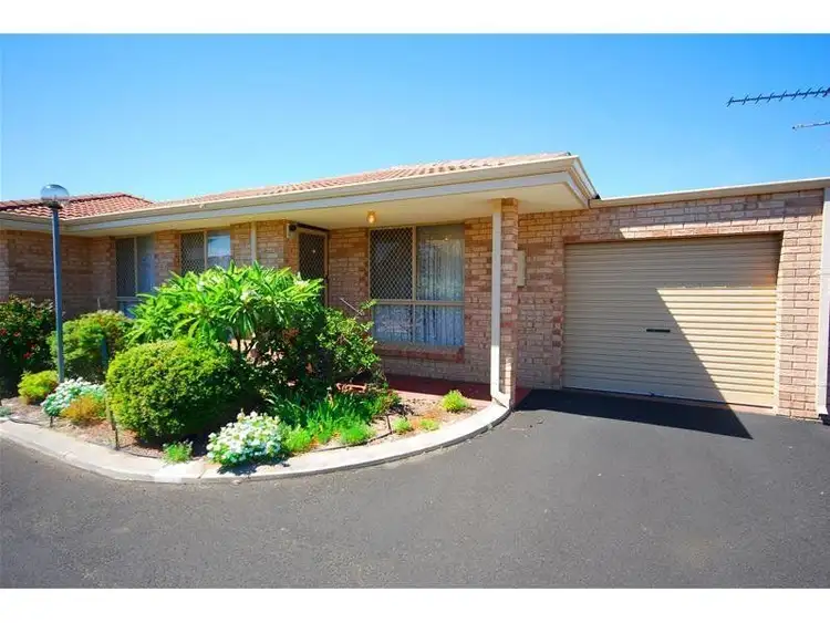 Main view of Homely apartment listing, 45/10 Court Street, West Busselton WA 6280