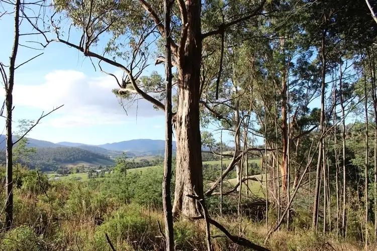 Sixth view of Homely land listing, Block at Sandhill Road, Cradoc TAS 7109