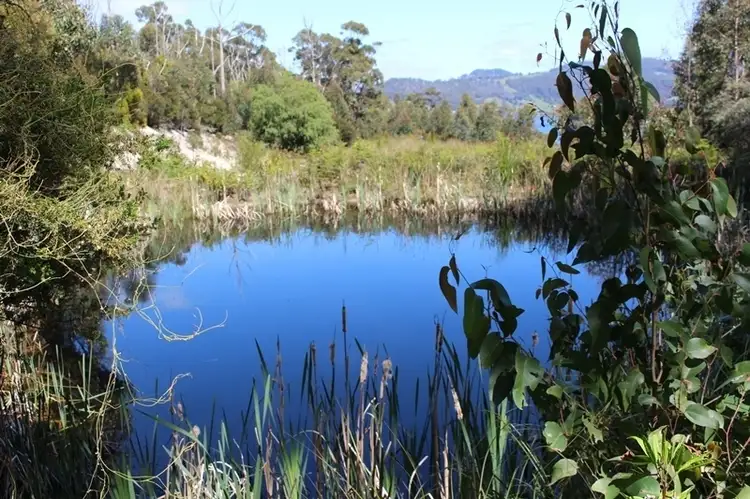 Fourth view of Homely land listing, Lot 1 Dillons Hill Road, Glaziers Bay TAS 7109
