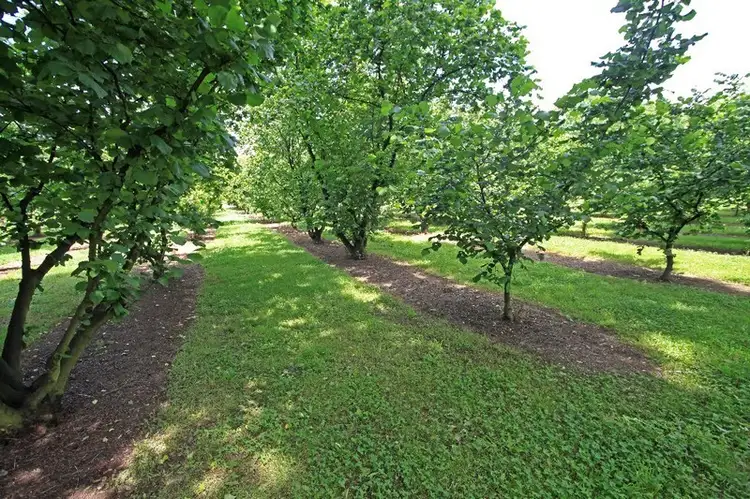 Fifth view of Homely rural property listing, Address available on request