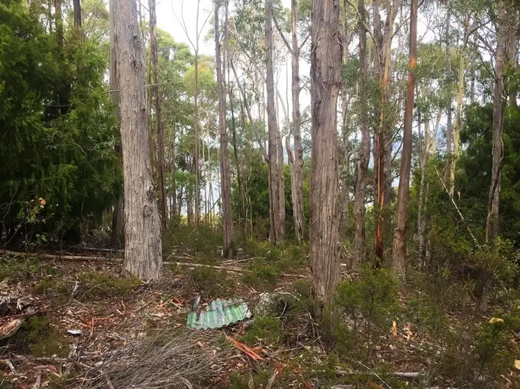 Fifth view of Homely land listing, 39 Duponts Road, Lymington TAS 7109