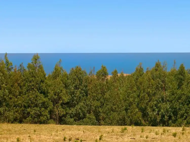 475 Blue Johanna Road, Johanna VIC 3238