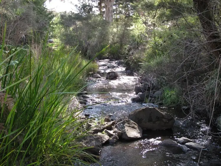 Second view of Homely rural property listing, 1084 Scotsdale Road, Denmark WA 6333