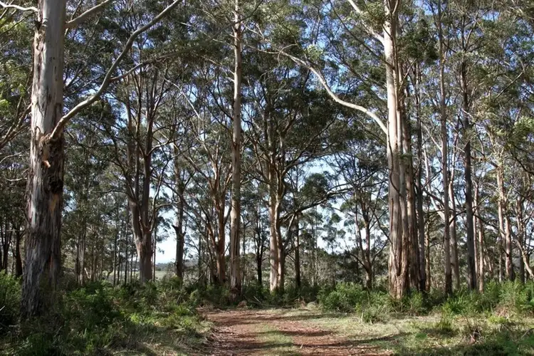 Second view of Homely rural property listing, 586 Mount Shadforth Road, Denmark WA 6333