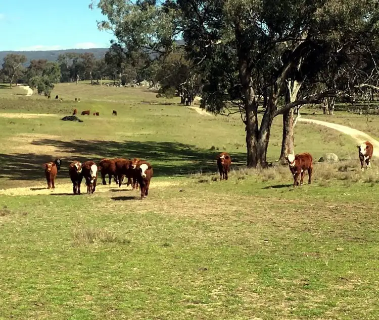 Fourth view of Homely rural property listing, Address available on request