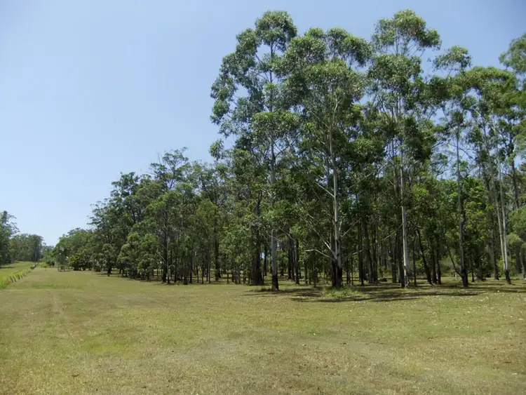 Fourth view of Homely land listing, 241 Sheehans Lane, Gulmarrad NSW 2463