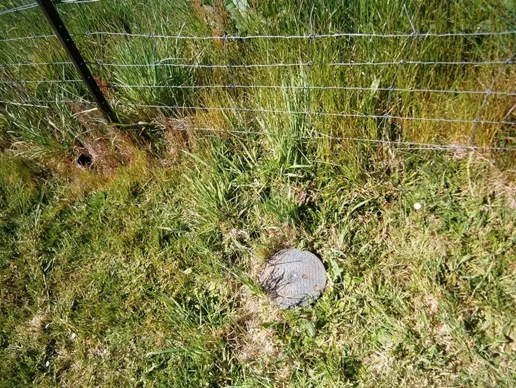 Seventh view of Homely land listing, 5 School Road, Geeveston TAS 7116