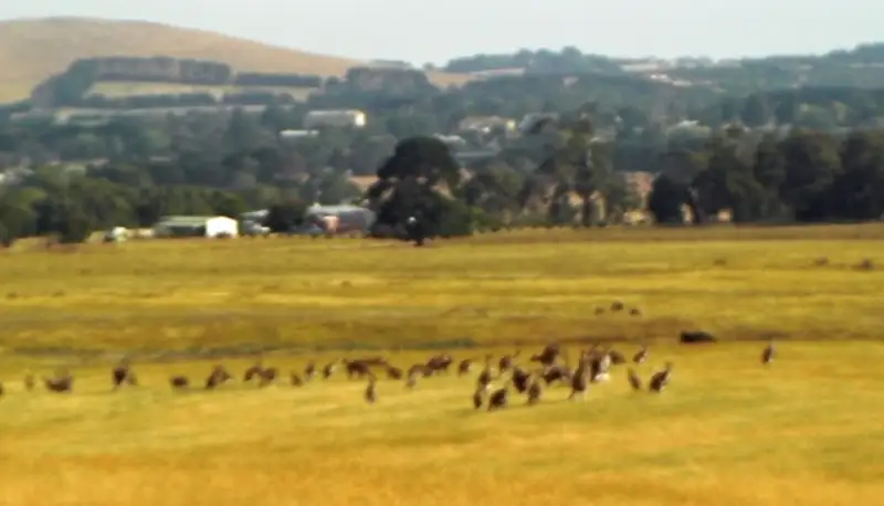 Main view of Homely land listing, 357 Lancefield Tooborac Rd, Lancefield VIC 3435