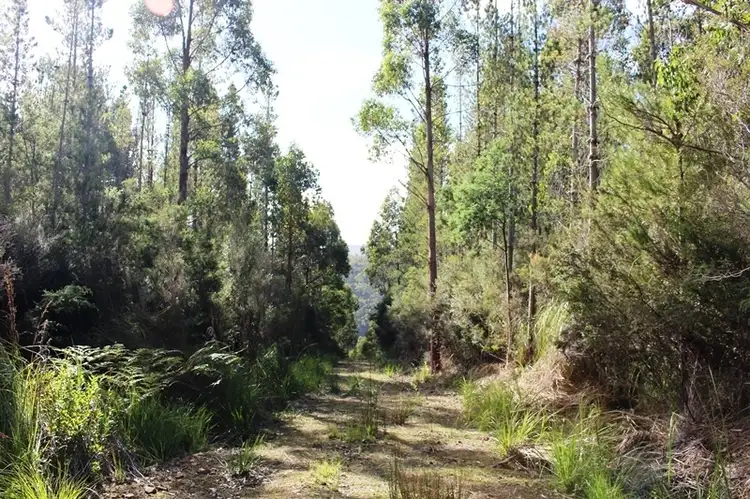 Land Off Steeles Road, Nicholls Rivulet TAS 7112