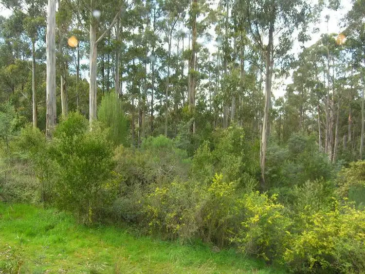 Fifth view of Homely house listing, 143 Jacksons Road, Franklin TAS 7113