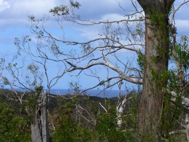 Fourth view of Homely house listing, Lot 1 Otway Park, Apollo Bay VIC 3233