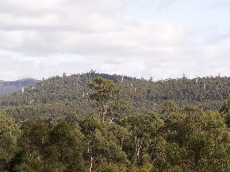 Fifth view of Homely land listing, 7736 Huon Highway, Strathblane TAS 7109