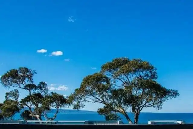 20/256 - 260 Mountjoy Parade, Lorne VIC 3232