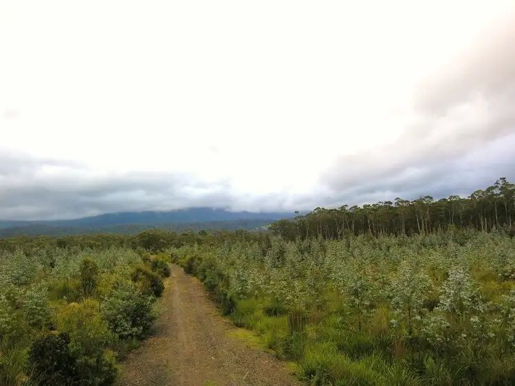 Fourth view of Homely land listing, Mt. Barrow Road, Nunamara TAS 7259