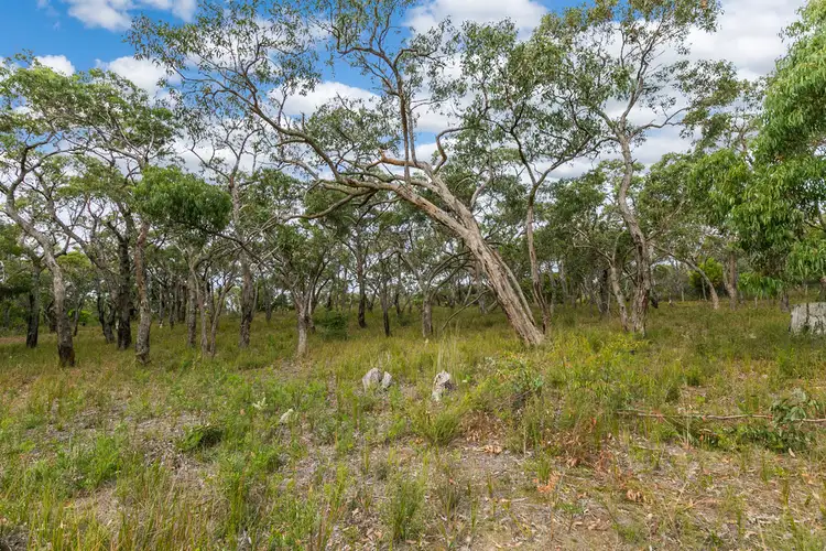 Seventh view of Homely house listing, 335 Elkington Road, Bellbrae VIC 3228