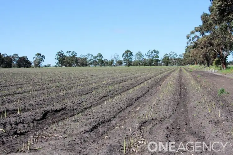 Fifth view of Homely rural property listing, 210 Railway Road, Koo Wee Rup VIC 3981