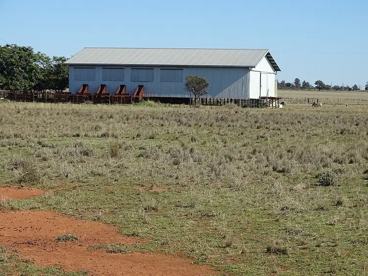 Sixth view of Homely rural property listing, - Jungle Park, Tullamore NSW 2874