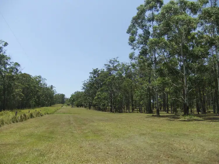 Third view of Homely land listing, 241 Sheehans Lane, Gulmarrad NSW 2463