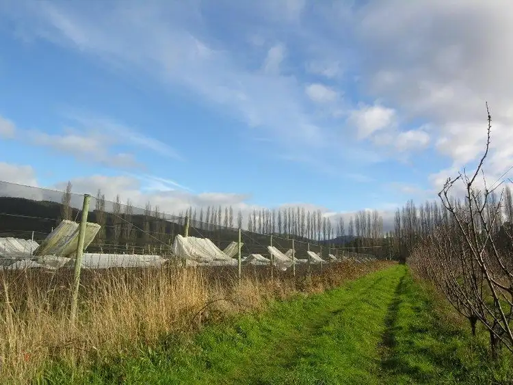Seventh view of Homely land listing, 23 Smith Road, Huonville TAS 7109