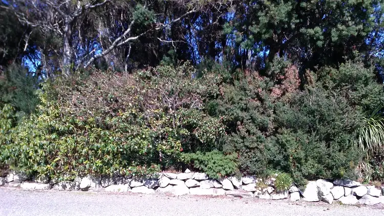 Fifth view of Homely land listing, Lot 0 Grining Street, Strahan TAS 7468