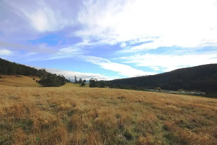 Fifth view of Homely land listing, 49 Acres off Abbots Road, Nicholls Rivulet TAS 7112