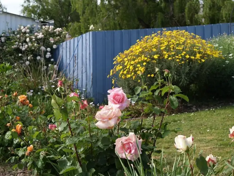 Seventh view of Homely house listing, 41 Knights Road, Huonville TAS 7109