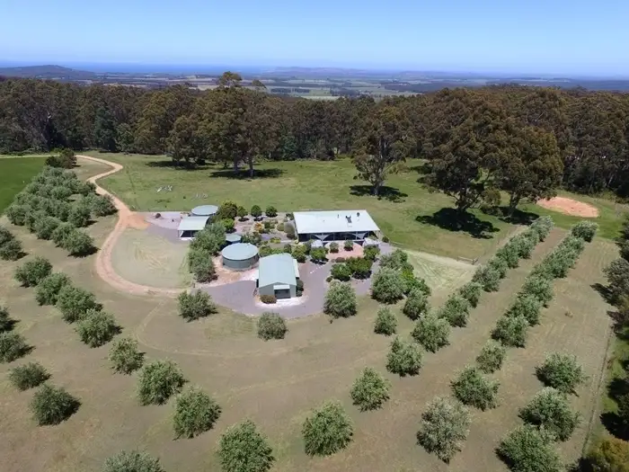 Main view of Homely rural property listing, 2020 Scotsdale Road, Denmark WA 6333