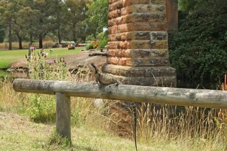 Sixth view of Homely rural property listing, 83 Hughes Lane, Marrangaroo NSW 2790