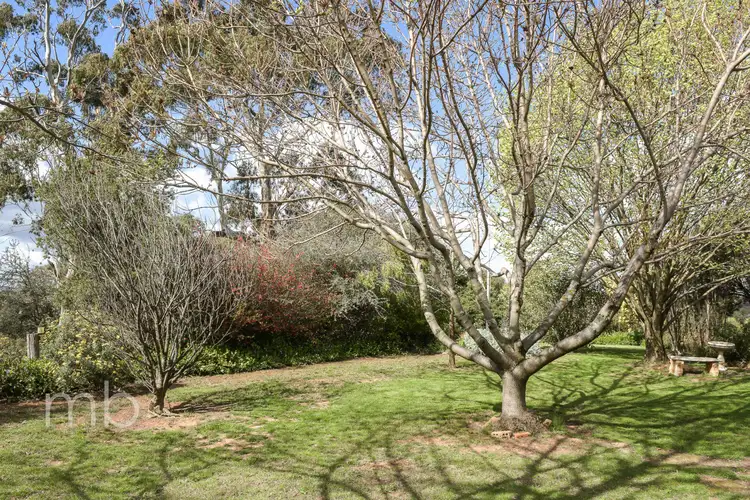 Seventh view of Homely house listing, 37 Witton Place, Orange NSW 2800