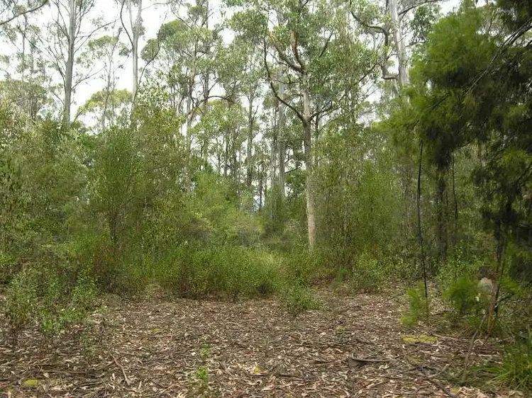 Lot 1 Toby's Hill Road, Cygnet TAS 7112