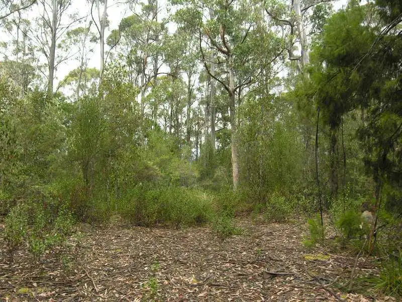 Main view of Homely land listing, Lot 1 Toby's Hill Road, Cygnet TAS 7112