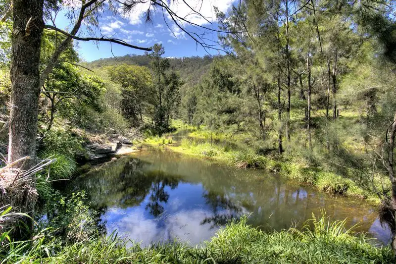 Main view of Homely rural property listing, 1137 South Arm Road, Bowraville NSW 2449