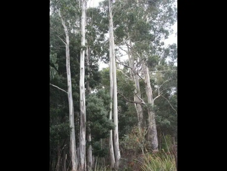 Seventh view of Homely land listing, Lot 4 Holmes Road, Ellendale TAS 7140