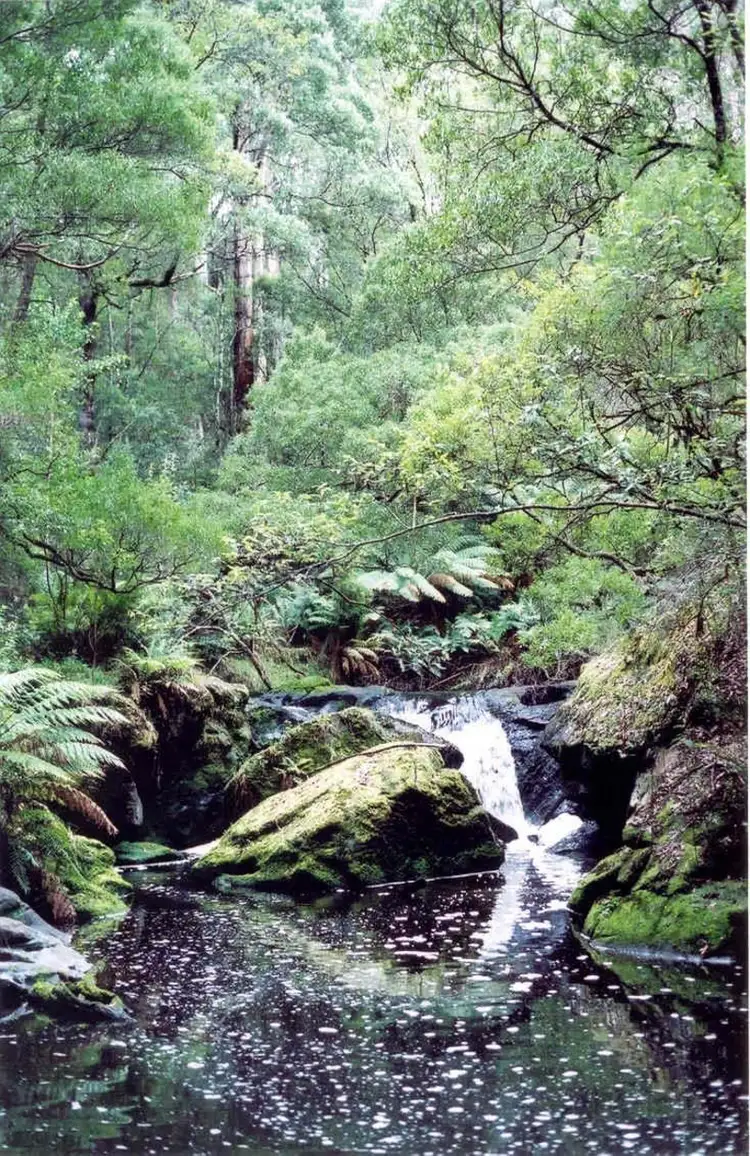 318 Old Ocean Road, Glenaire VIC 3238