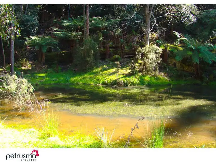 Fourth view of Homely land listing, Lot 2 Huon Highway, Lower Longley TAS 7109