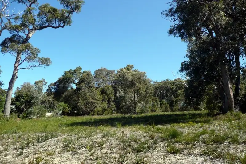 Main view of Homely land listing, 7 Coughlan Grove, Denmark WA 6333
