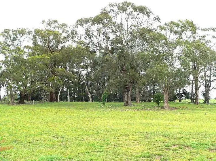 Third view of Homely house listing, 481 Spring Terrace Road, Forest Reefs NSW 2798
