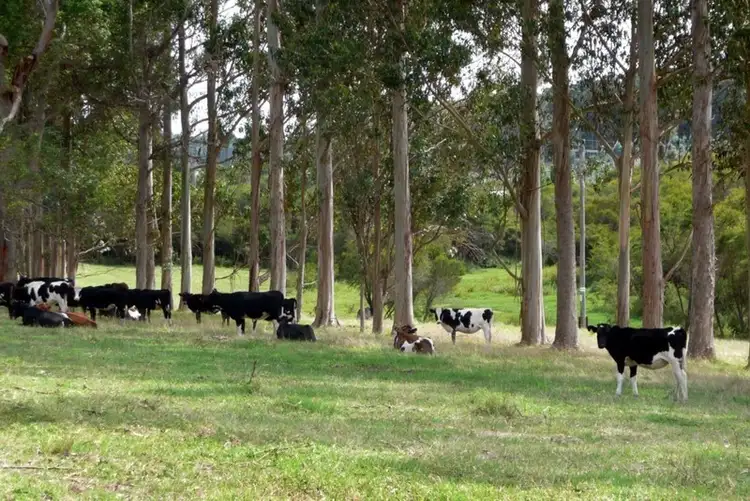 Sixth view of Homely house listing, 30 Hazelvale Road, Denmark WA 6333