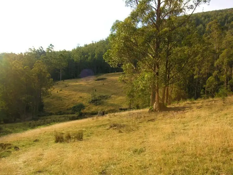 Fourth view of Homely land listing, Lot 1 Halls Track Road, Pelverata TAS 7150