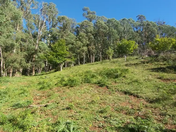 Main view of Homely land listing, Lot 10 Growlers Creek Road, Wandiligong VIC 3744