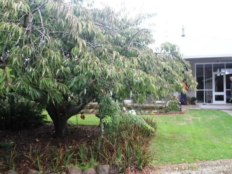 Fourth view of Homely house listing, 9 Elphinstones Road, Calder TAS 7325