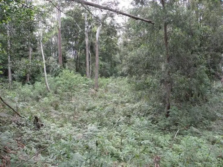 Fourth view of Homely house listing, 107 Batunga, Tomerong NSW 2540