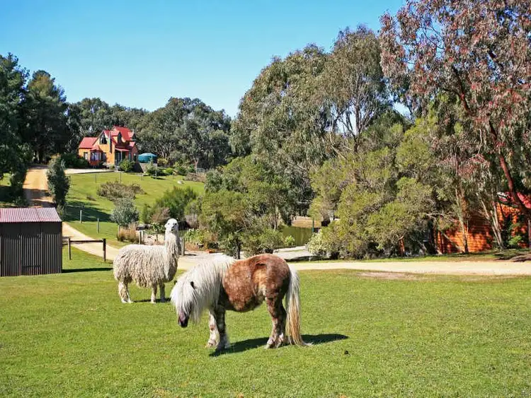 Sixth view of Homely house listing, 545 Great ocean Road, Bellbrae VIC 3228
