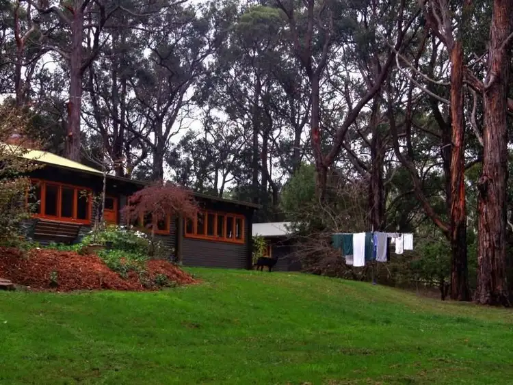 Second view of Homely house listing, 989 Macclesfield Road, Yellingbo VIC 3139