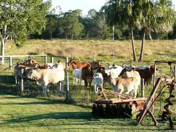 Fifth view of Homely rural property listing, 243 Mt Rae Road, Yeppoon QLD 4703